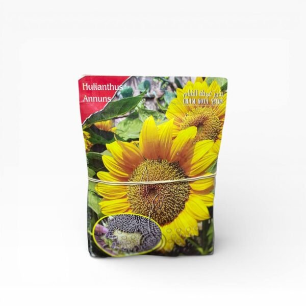 بذور زراعية دوار الشمس