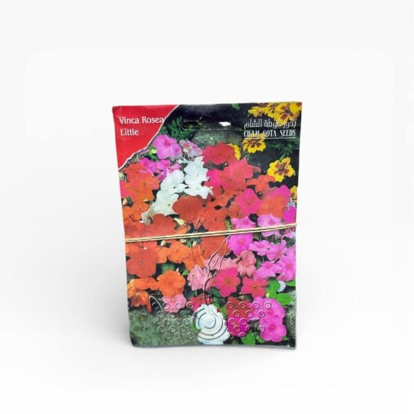 بذور زراعية كاميليا عناقية وردية