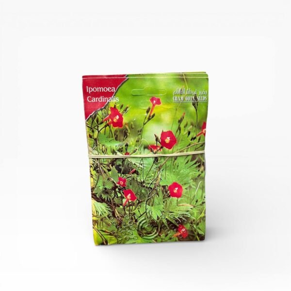 بذور زراعية قنديل نجمي متسلق