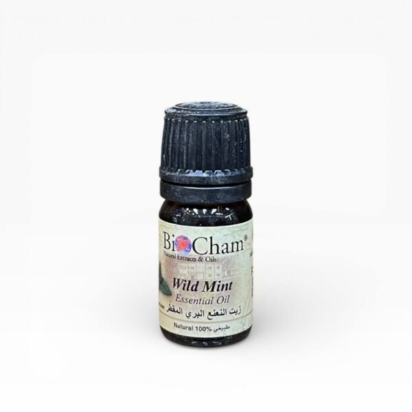 زيت النعناع البري المقطر