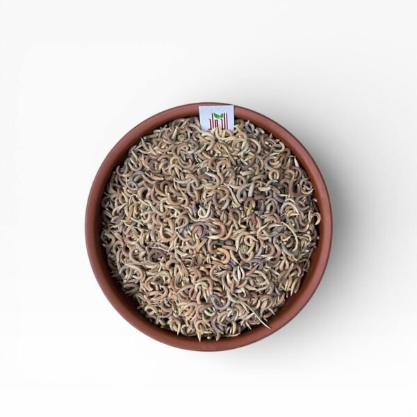 أضافر الجان