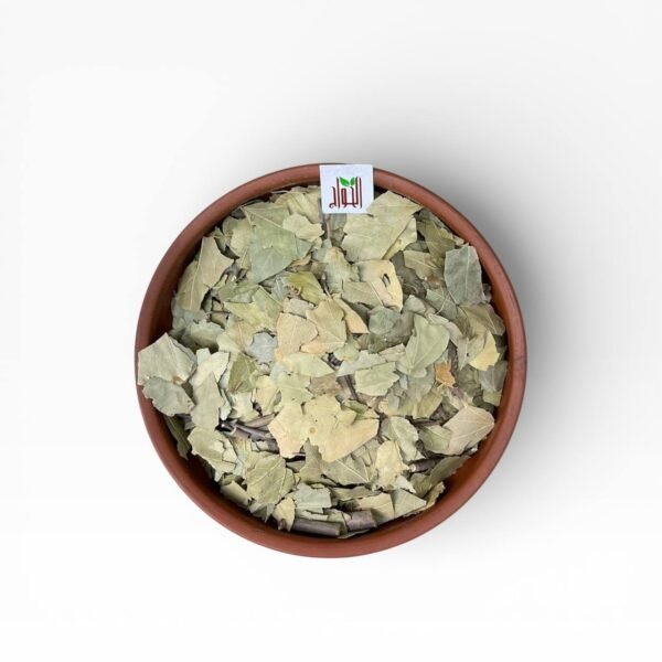 أوراق بتولا بيضاء