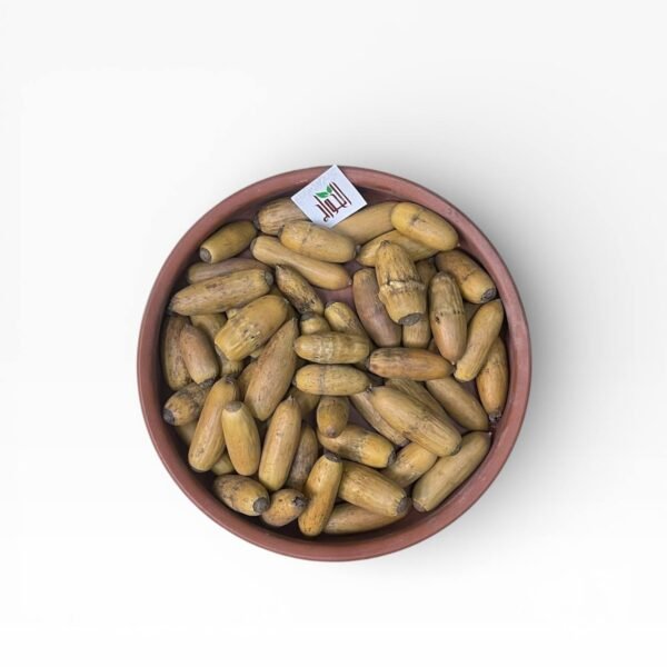 ثمار البلوط