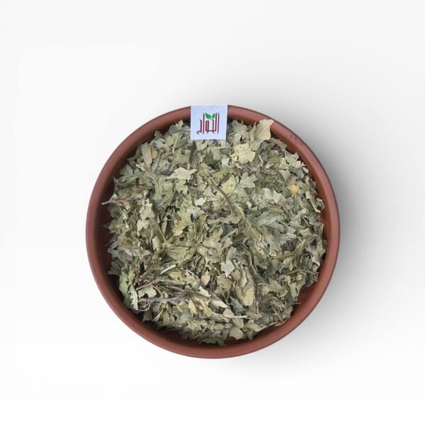 أوراق الزعرور