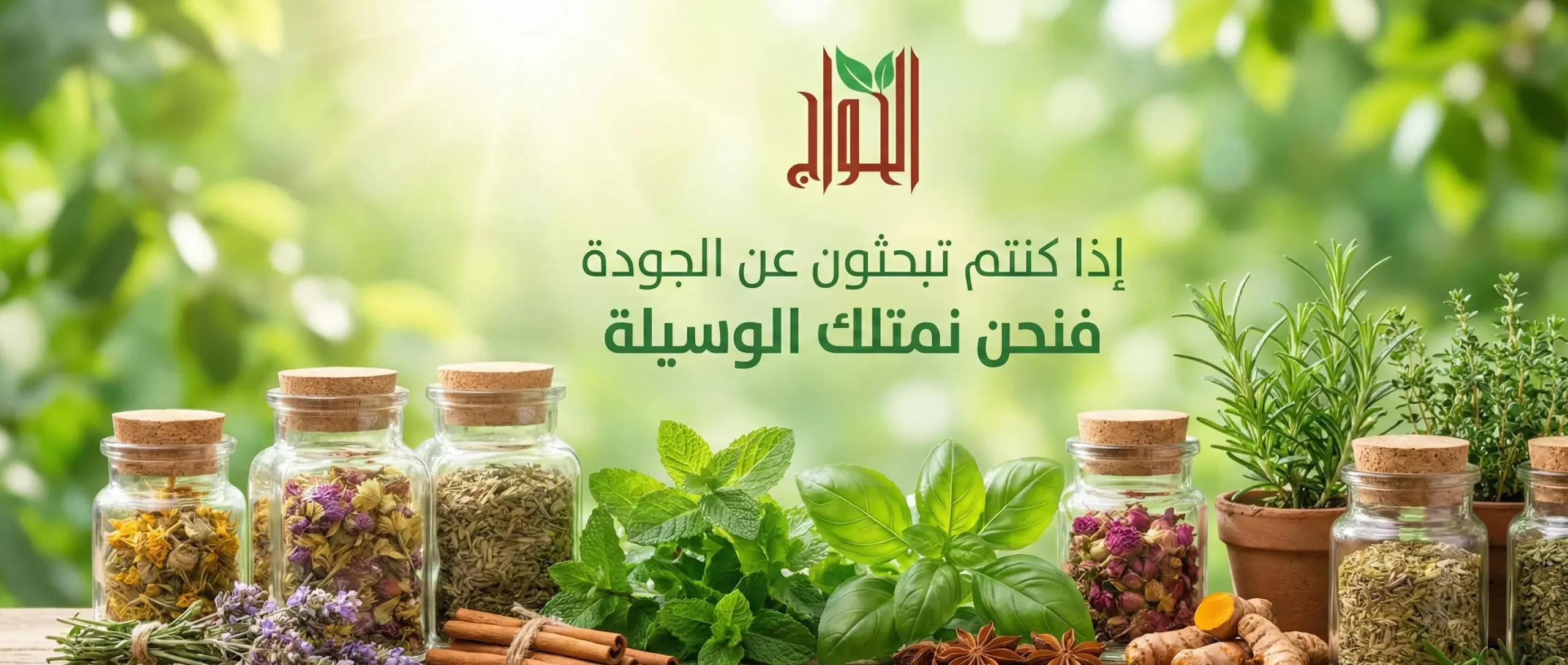 nano_banana_removed (2)