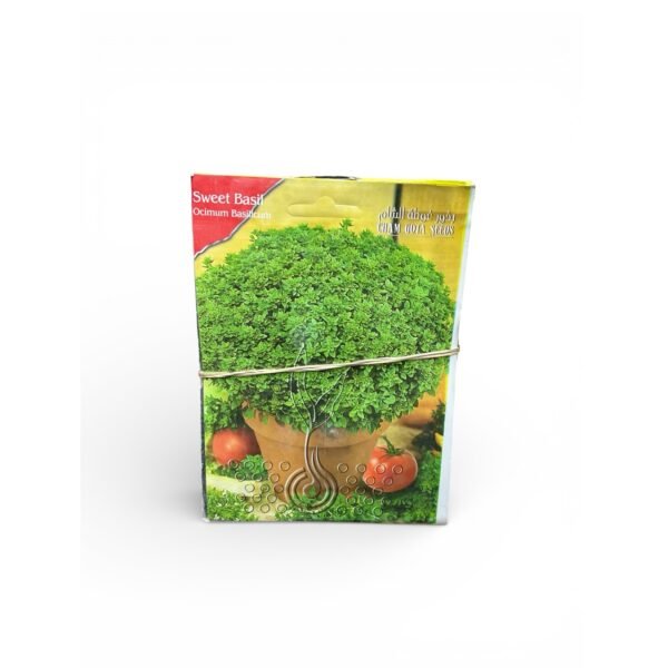بذور زراعية ريحان ناعم