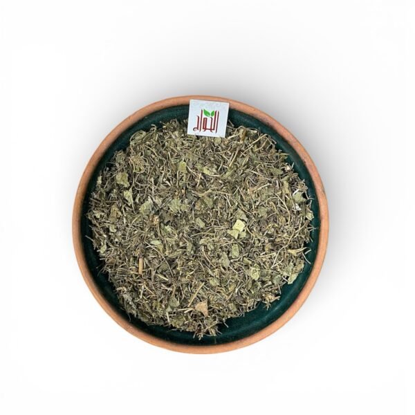 البراهمي (Bacopa Monnieri)