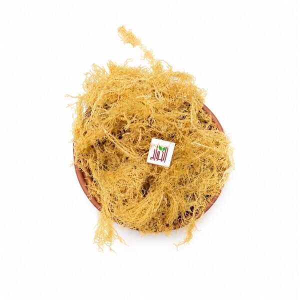 الإيريش موس irish Moss