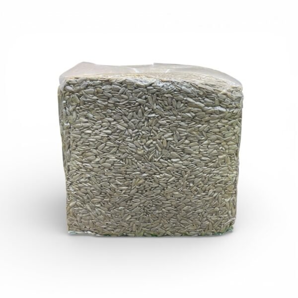 حب شمس مفلس خام